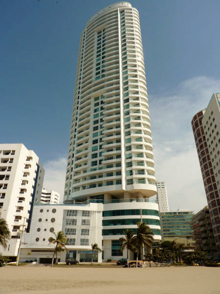 Palmetto Eliptic 30