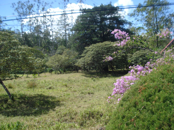 CHIRIQUI VOLCAN MOUNTAIN VIEW  LOT FOR SALE