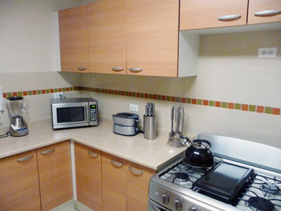 Panama Casa Furnished Apartment - 44th & Park 14C