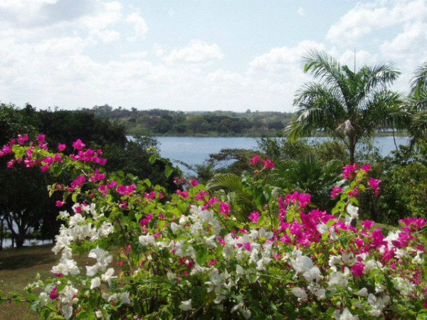 PANAMA - GATUN LAKE - LA ARENOSA.