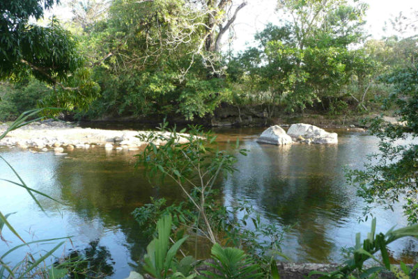 ZARATI RIVER, PERMACULTURE FARM FOR SALE, PAJONAL, PENONOME, COCLE, PANAMA PERMACULTURE, ORGANIC FARM FOR SALE, 1.8 HECTARES, PAJONAL, PENONOME, COCLE, PANAMA, FINCA ORGANICA EN VENTA