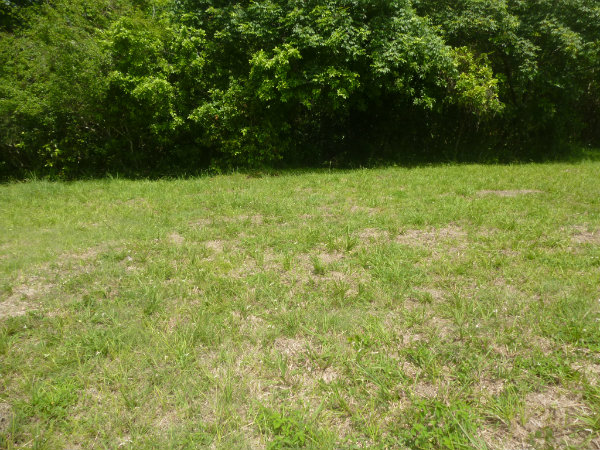 RESIDENTIAL BUILDINGS IN THE COMPLEX, LOT FOR SALE IN THE VALLEY VILLAGE, MOUNTAIN VIEW AT EL VALLE VILLAGE, COCLE PANAMA RESIDENTIAL BUILDINGS IN THE COMPLEX, CONSTRUCCIONES RESIDENCIALES DENTRO DEL COMPLEJO EN EL VALLE VILLAGE, MOUNTAIN VIEW AT EL VALLE VILLAGE, COCLE