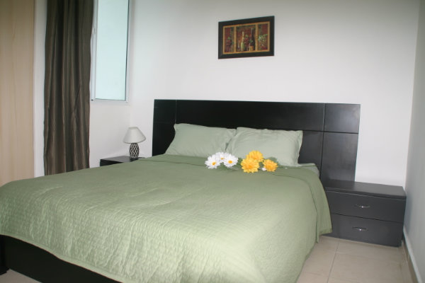 Panama Casa Furnished Apartment - 44th & Park 10C