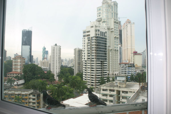 Panama Casa Furnished Apartment - 44th & Park 10C