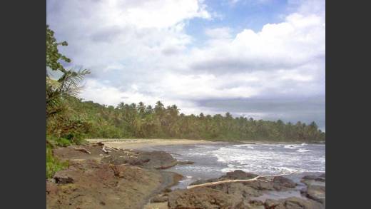 Titled Caribbean Beach Property