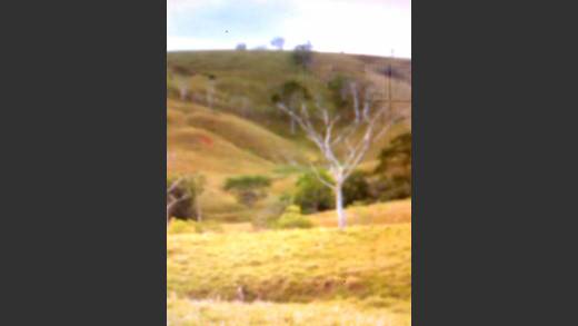 Farm in Veraguas