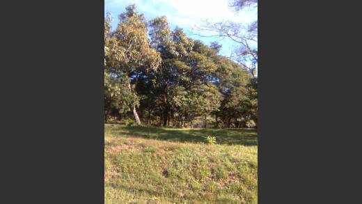 Subdivision Project near El Valle de Anton