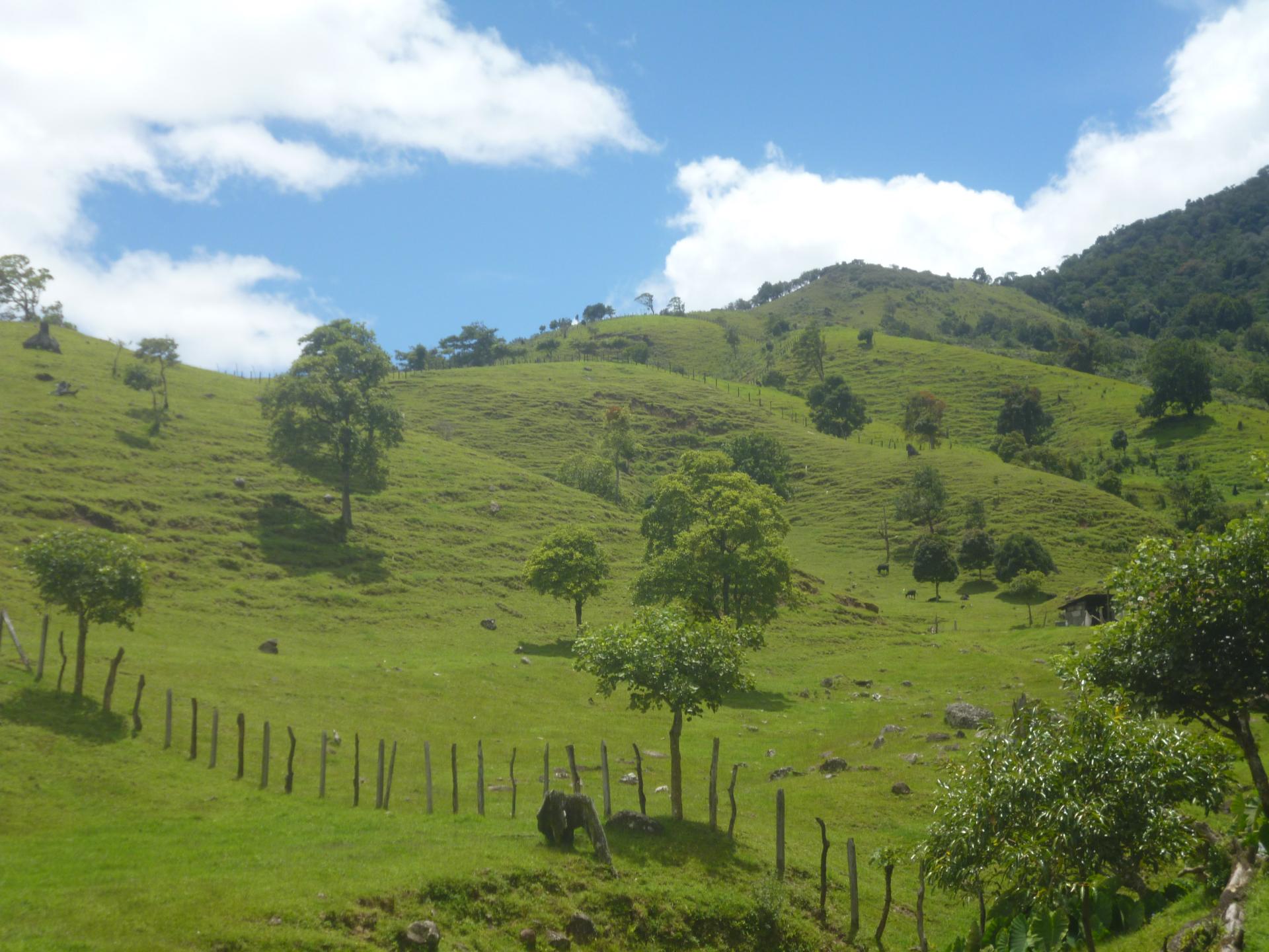 CHIRIQUI, DISTRITO DE TIERRAS ALTAS (HIGHLANDS DISTRICT), FARM LOCATED IN VOLCAN.