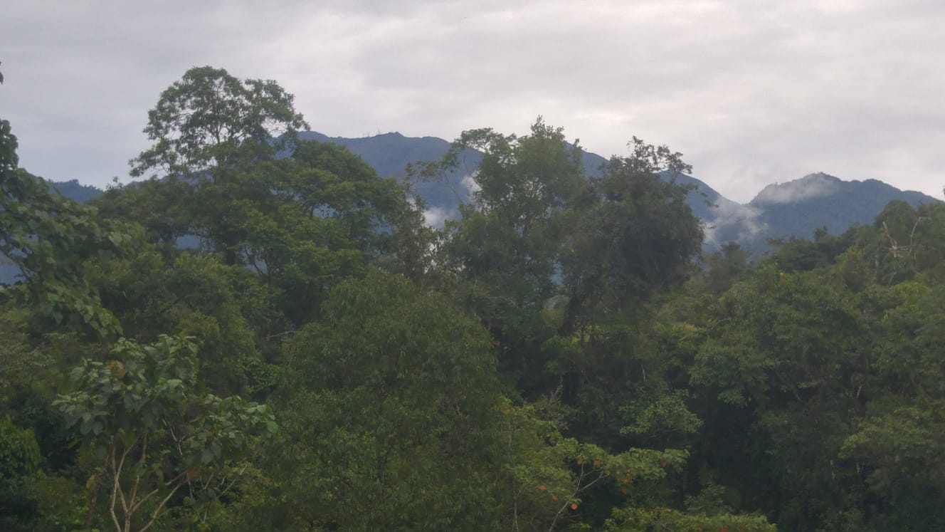 CHIRIQUI, BOQUERON, MOUNTAIN VIEW LOT LOCATED IN SANTA RITA DE GUAYABAL.