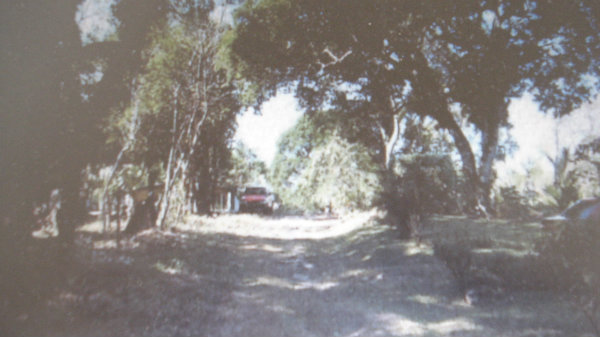 Dolega- Lot for sale