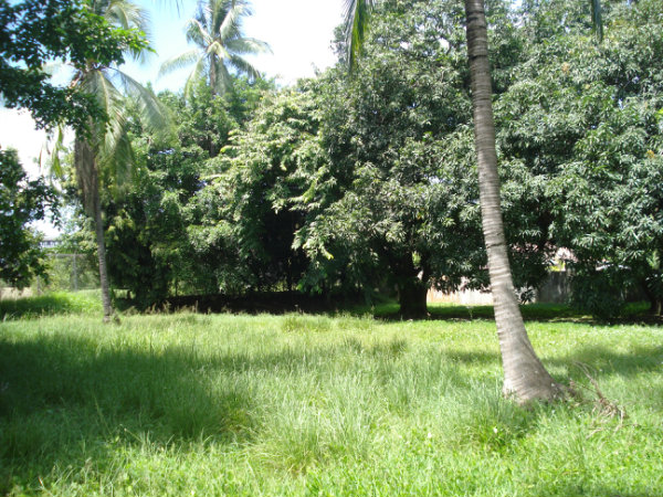PANAMA, AMADOR HEIGHT,S PROPERTY FOR SALE