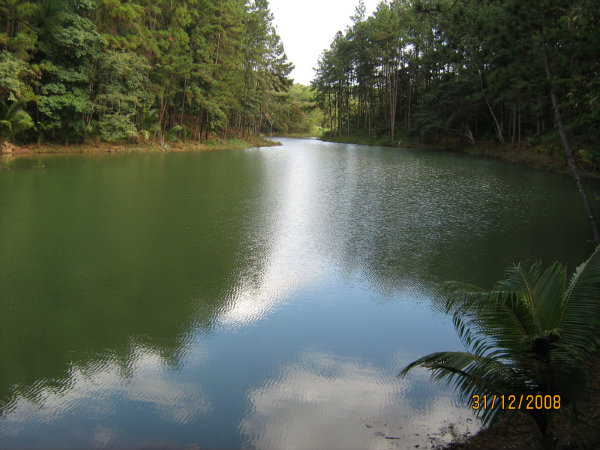 Veraguas- Farm with a lake for sale near Santiago.