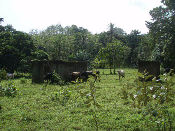Colon, Portobelo, a la venta cerca de Iguanita
