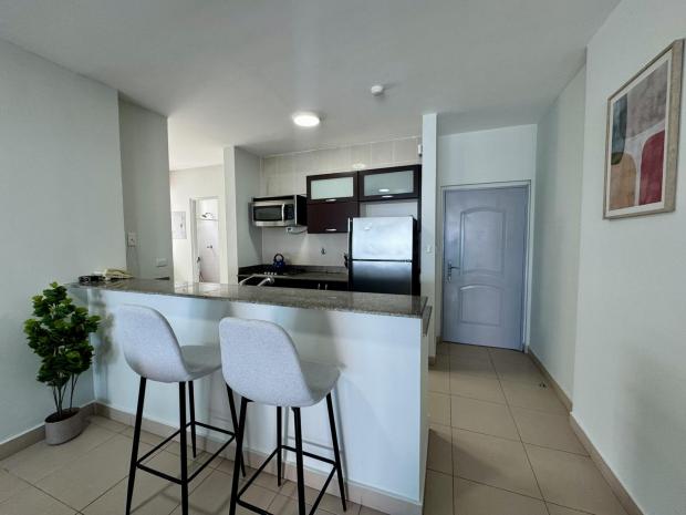PANAMA CITY SAN FRANCISCO METROPOLITAN 1 2 BDRM CLOSE PARQUE OMAR