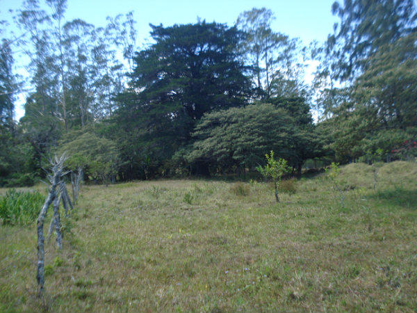 MOUNTAIN VIEW  LOT FOR SALE, VOLCAN, CHIRIQUI, PANAMA