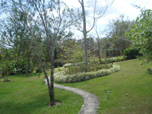 BACK YARD OF THE MOUNTAIN HOME FOR SALE, EL VALLE DE ANTON, COCLE, PANAMA