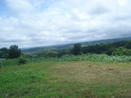 COUNTRYSIDE PROPERTY, MOUNTAIN VIEW, LAND FOR SALE, CAISAN, VOLCAN, BUGABA, DAVID, CHIRIQUI, PANAMA MOUNTAIN VIEW LOT, FOR SALE, CAISAN, BUGABA, DAVID, CHIRIQUI, PANAMA, PROPIEDAD DE 6,853M2, SE VENDE