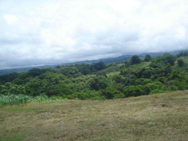 MOUNTAIN VIEW, LAND FOR SALE, CAISAN, VOLCAN, BUGABA, DAVID, CHIRIQUI, PANAMA, COUNTRYSIDE PROPERTY
