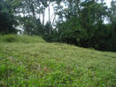 COUNTRYSIDE PROPERTY, FOR SALE, MOUNTAIN LOT, CAISAN, VOLCAN, CHIRIQUI, PANAMA MOUNTAIN PROPERTY, FOR SALE, CAISAN, VOLCAN, CHIRIQUI, PANAMA, PROPIEDAD, SE VENDE
