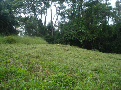 COUNTRYSIDE PROPERTY, FOR SALE, MOUNTAIN LOT, CAISAN, VOLCAN, CHIRIQUI, PANAMA