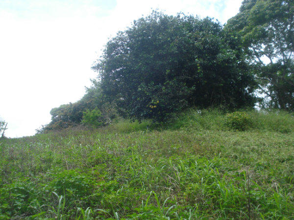 FOR SALE, MOUNTAIN LOT, CAISAN, VOLCAN, CHIRIQUI, PANAMA, COUNTRYSIDE PROPERTY