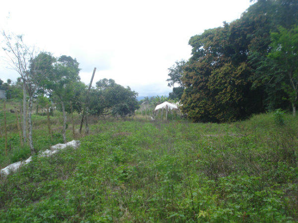 CHIRIQUI, PANAMA, COUNTRYSIDE PROPERTY, FOR SALE, MOUNTAIN LOT, CAISAN, VOLCAN