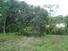 VOLCAN, CHIRIQUI, PANAMA, COUNTRYSIDE PROPERTY, FOR SALE, MOUNTAIN LOT, CAISAN