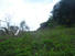 PANAMA, COUNTRYSIDE PROPERTY, FOR SALE, MOUNTAIN LOT, CAISAN, VOLCAN, CHIRIQUI