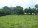 FARM FOR SALE, COUNTRYSIDE PROPERTY, 2.35 HECTARES, CAISAN, VOLCAN, BUGABA, DAVID, CHIRIQUI, PANAMA OCEAN VIEW, MOUNTAIN PROPERTY, FOR SALE, CAISAN, VOLCAN, CHIRIQUI, PANAMA, PROPIEDAD DE MONTAÑA, VENDO