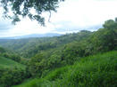 5 HECTARES FOR SALE, MOUNTAIN VIEW FARM, HIGLANDS OF CAISAN, VOLCAN, BUGABA, DAVID, CHIRIQUI, PANAMA MOUNTAIN VIEW PROPERTY, FARM LAND, FOR SALE, COUNTRYSIDE LOT, CAISAN, VOLCAN, CHIRIQUI, PANAMA, VENDO FINCA