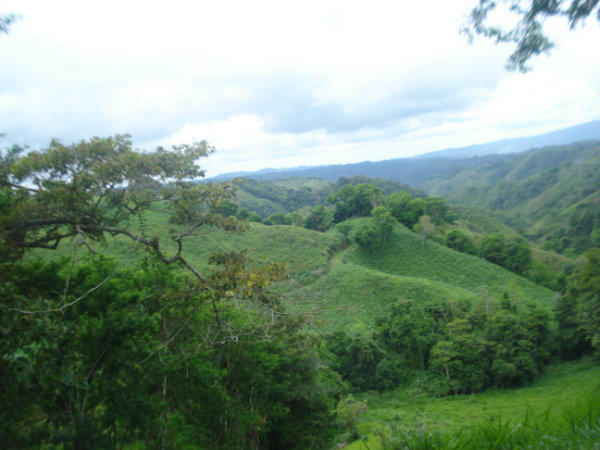 PANAMA, 5 HECTARES FOR SALE, MOUNTAIN VIEW FARM, HIGHLANDS OF CAISAN, VOLCAN, BUGABA, DAVID, CHIRIQUI