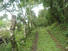 CAISAN, VOLCAN, BUGABA, DAVID, CHIRIQUI, PANAMA, 11 ACRES FOR SALE, FARM IN THE HIGHLANDS OF PANAMA