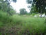 11 ACRES FOR SALE, FARM IN THE HIGHLANDS OF PANAMA, CAISAN, VOLCAN, BUGABA, DAVID, CHIRIQUI, PANAMA