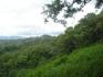 MOUNTAIN VIEW FARM, HIGHLANDS OF CAISAN, VOLCAN, BUGABA, DAVID, CHIRIQUI, PANAMA, 5 HECTARES FOR SALE