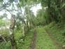 CAISAN, VOLCAN, BUGABA, DAVID, CHIRIQUI, PANAMA, 11 ACRES FOR SALE, FARM IN THE HIGHLANDS OF PANAMA