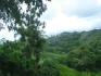 HIGHLANDS OF CAISAN, VOLCAN, BUGABA, DAVID, CHIRIQUI, PANAMA, 5 HECTARES FOR SALE, MOUNTAIN VIEW FARM