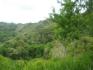 DAVID, CHIRIQUI, PANAMA, 5 HECTARES FOR SALE, MOUNTAIN VIEW FARM, HIGHLANDS OF CAISAN, VOLCAN, BUGABA