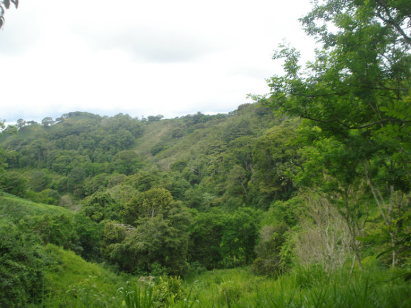 BUGABA, DAVID, CHIRIQUI, PANAMA, 5 HECTARES FOR SALE, MOUNTAIN VIEW FARM, HIGHLANDS OF CAISAN, VOLCAN