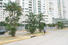 Panama Casa Apartment - Terrawind 16B