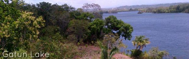 COLON GATUN LAKE LAKEFRONT PROPERTY FOR SALE