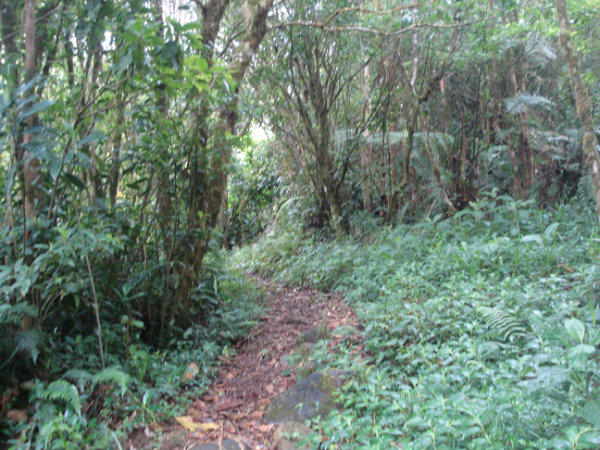 FOR SALE, LOS NARANJOS, BOQUETE, CHRIQUI, PANAMA, COUNTRYSIDE PROPERTY, 18 HECTARES, MOUNTAIN VIEW