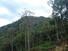 18 HECTARES, MOUNTAIN VIEW, FOR SALE, LOS NARANJOS, BOQUETE, CHIRIQUI, PANAMA, COUNTRYSIDE PROPERTY