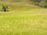 BACK OF THE LOT FOR SALE INSIDE TRINITY HILLS VALLEY, CAPIRA, PANAMA, LIDICE