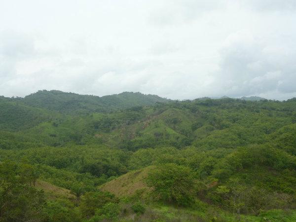 COUNTRYSIDE PROPERTY FOR SALE IN OCU, HERRERA, PANAMA