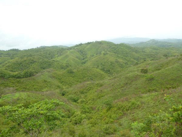 32 HAS OF MOUNTAIN LAND FOR SALE IN HERRERA, PANAMA