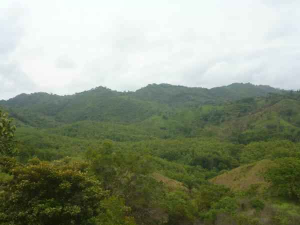 LAND FOR SALE IN OCU, HERRERA, PANAMA