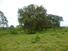 CHIRIQUI, POTRERILLOS, OCEAN AND MOUNTAIN VIEW