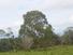 CHIRIQUI, POTRERILLOS, OCEAN AND MOUNTAIN VIEW