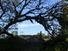CHIRIQUI, POTRERILLOS, OCEAN AND MOUNTAIN VIEW