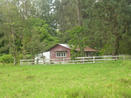FARM FOR SALE IN VOLCAN, CHIRIQUI, PANAMA MOUNTAIN VIEW PROPERTY IN VOLCAN, CHIRIQUI, PANAMA, PARA LA VENTA PROPIEDAD CON VISTA DE MONTANA IN VOLCAN, CHIRIQUI